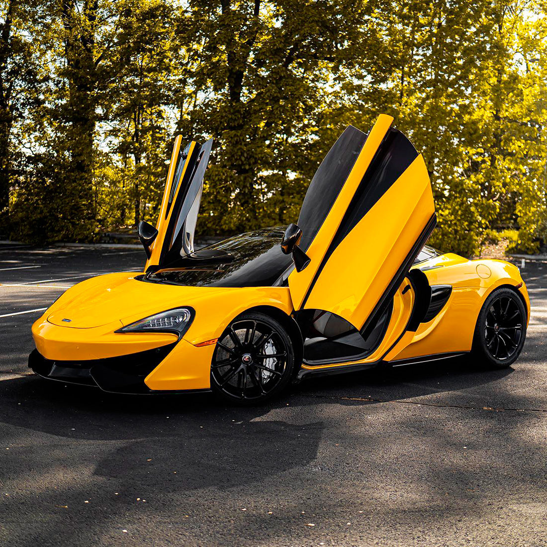 Teckwrap Sunflower Yellow