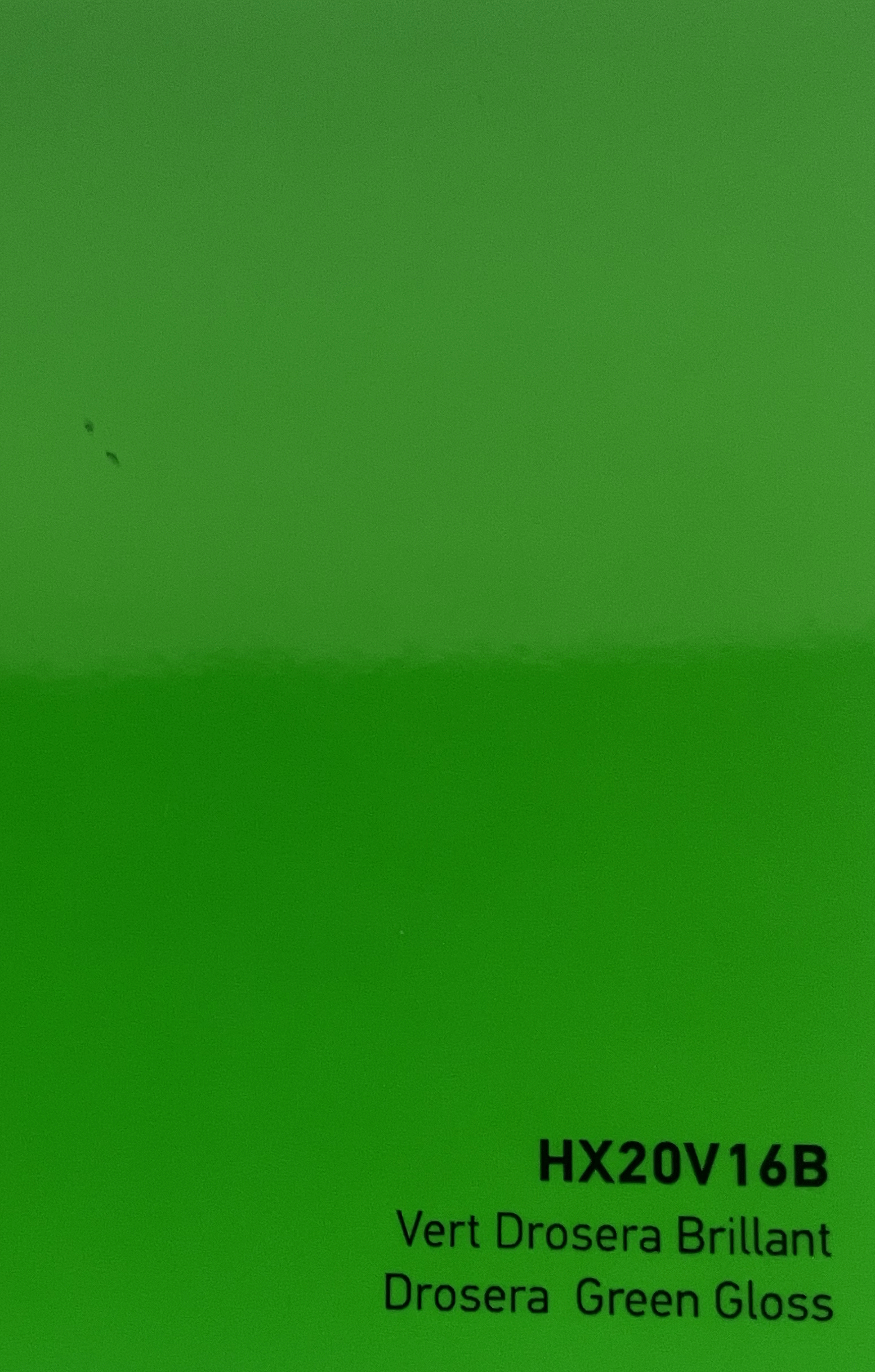HEXIS Drosera Green Gloss HEXIS