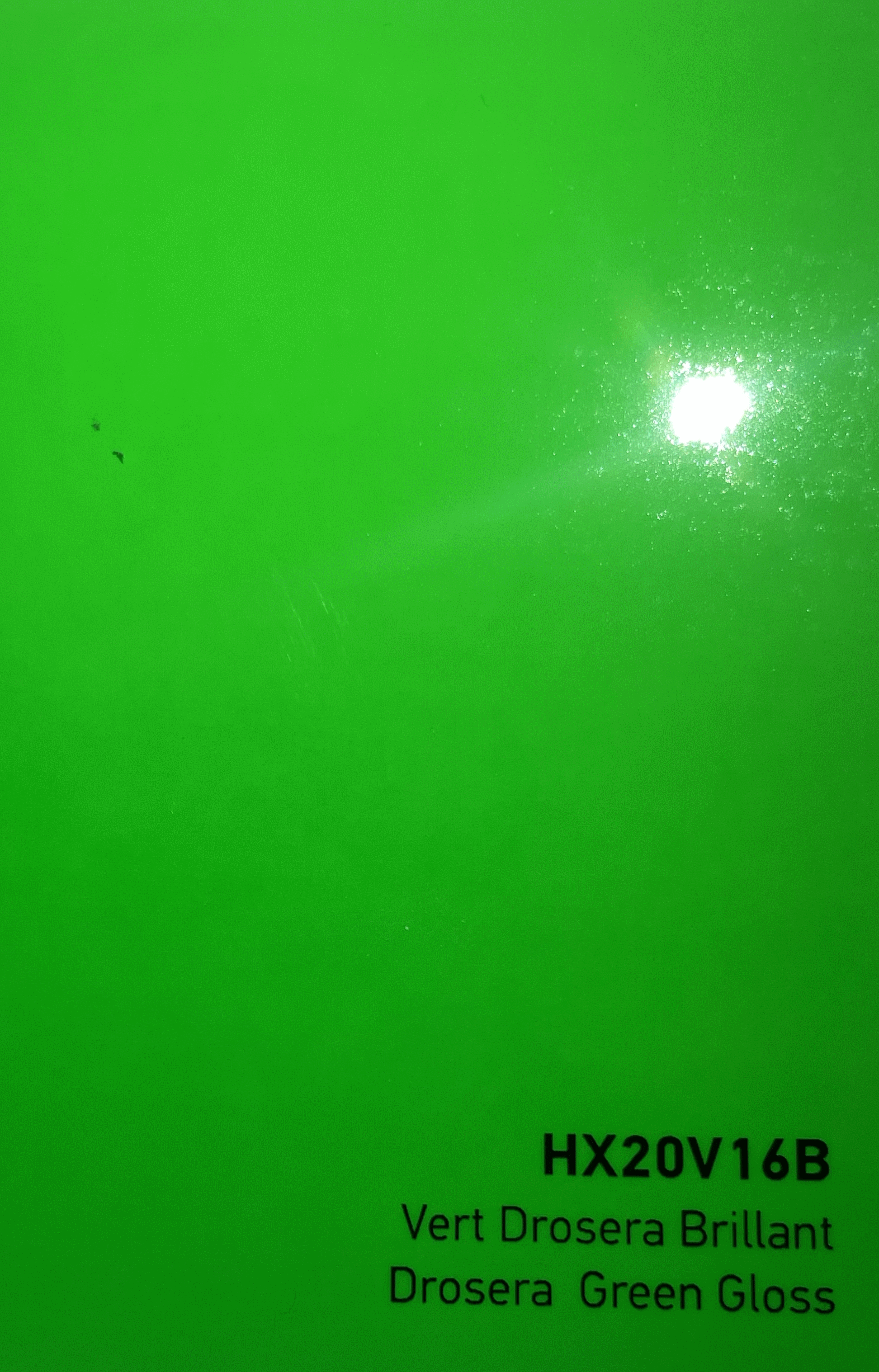 HEXIS Drosera Green Gloss HEXIS