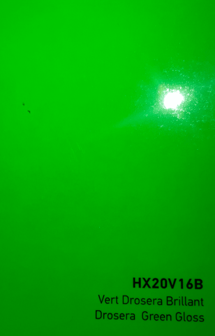 HEXIS Drosera Green Gloss