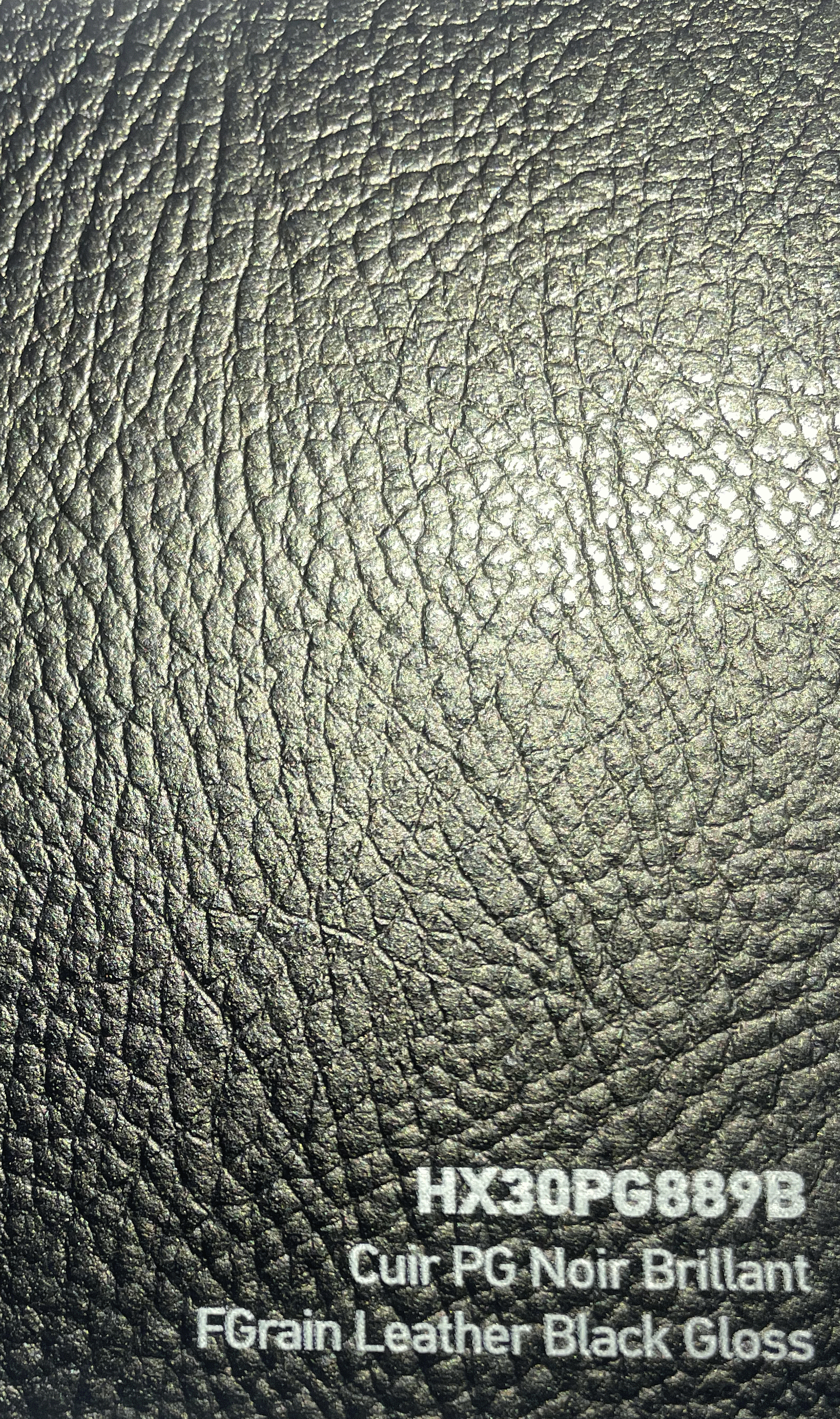 HEXIS Black Fgrain Leather HEXIS