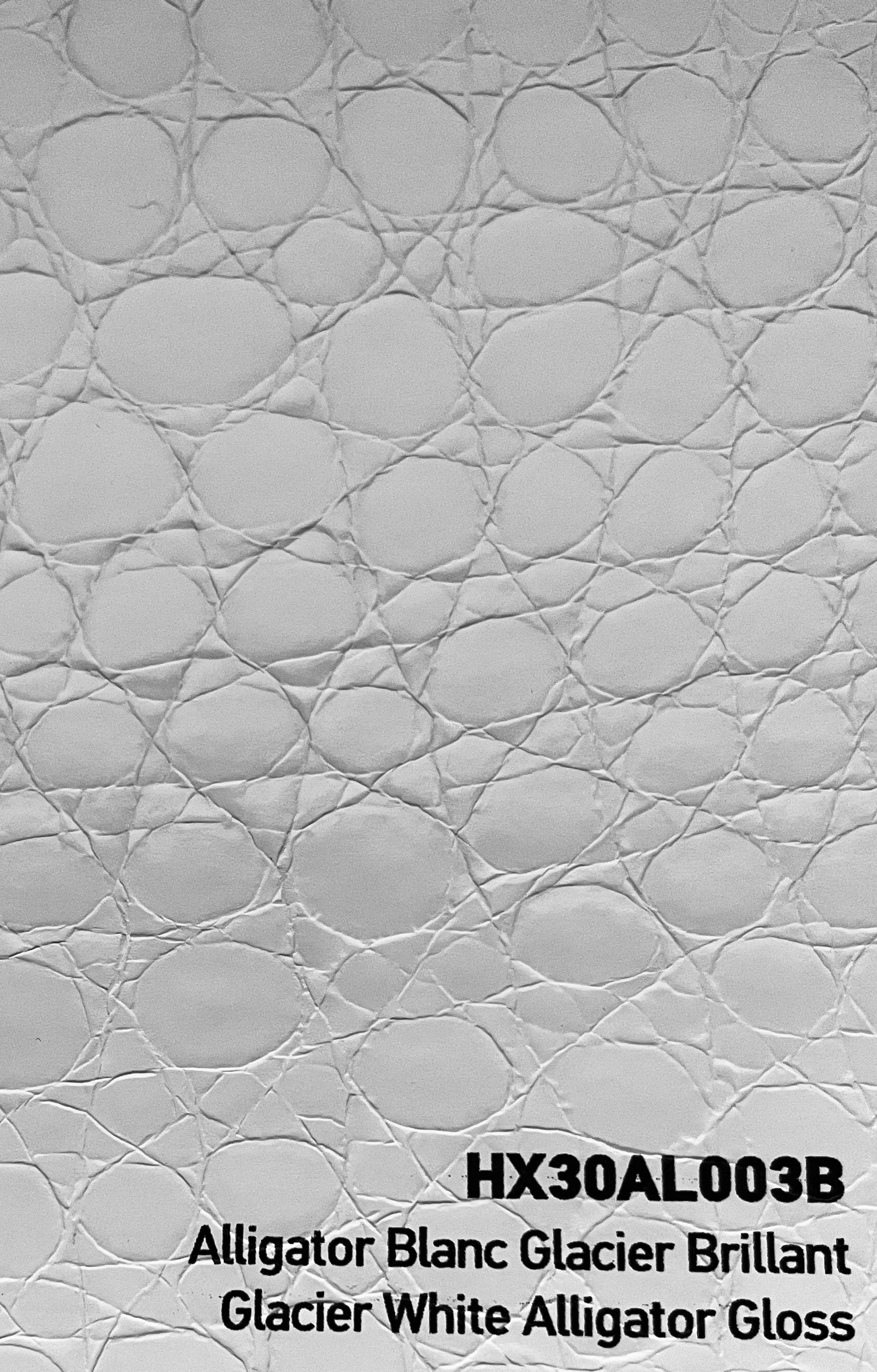 HEXIS Glacier White Alligator HEXIS